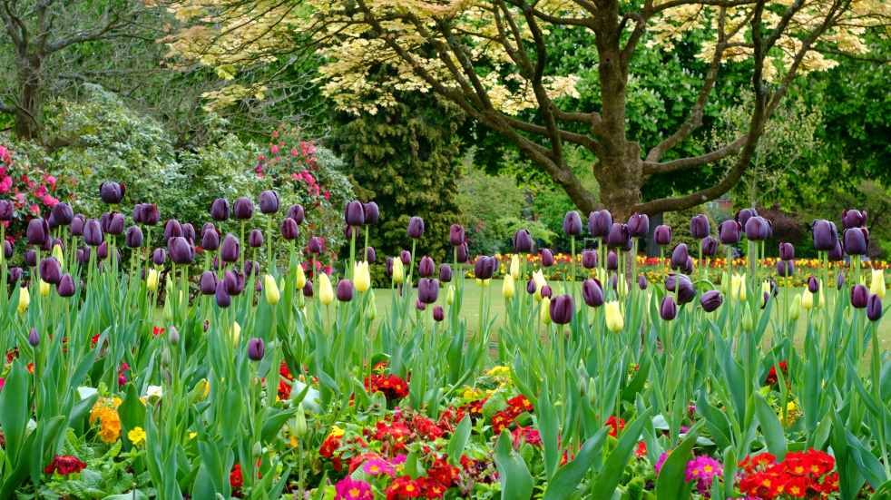 cannon hill park